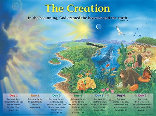 Creation Wall Chart-Laminated (Charts) - Rose Publishing ...