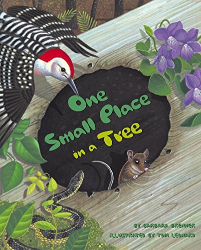 One Small Place in a Tree (Outstanding Science Trade Books for Students K-12)