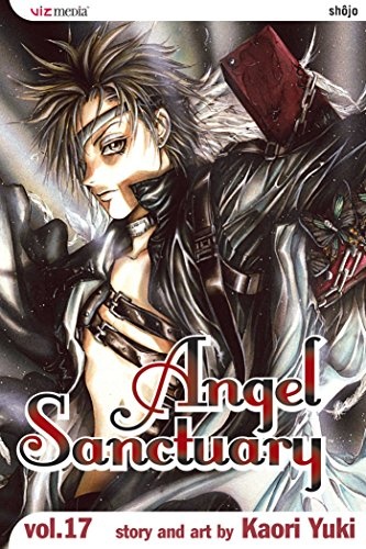 Angel Sanctuary, Vol. 17 (17)