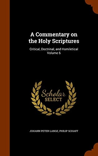 A Commentary on the Holy Scriptures: Critical, Doctrinal, and Homiletical Volume 6
