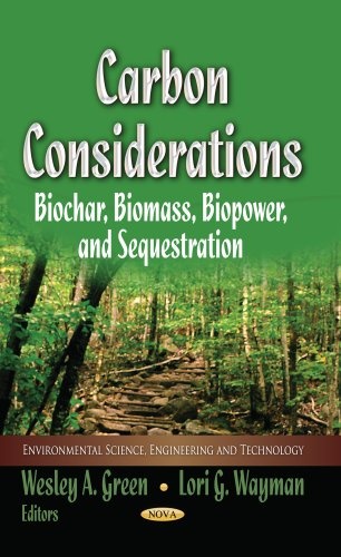 Carbon Considerations: Biochar, Biomass, Biopower, and Sequestration (Environmental Science, Engineering and Technology: Climate Change and Its Causes, Effects and Prediction)