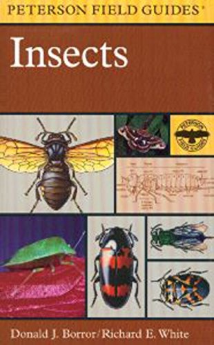 A Field Guide to Insects: America North of Mexico (Peterson Field Guides)