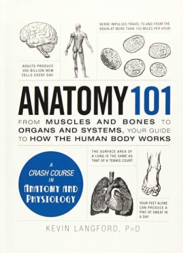Anatomy 101: From Muscles and Bones to Organs and Systems, Your Guide to How the Human Body Works (Adams 101)