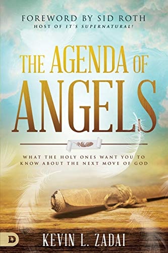 The Agenda of Angels: What the Holy Ones Want You to Know About the Next Move of God