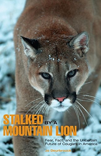 Stalked by a Mountain Lion: Fear, Fact, And The Uncertain Future Of Cougars In America