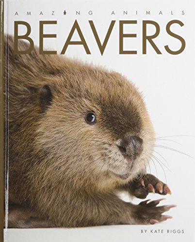 Amazing Animals Beavers