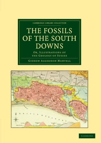 The Fossils of the South Downs: Or, Illustrations of the Geology of Sussex (Cambridge Library Collection - Earth Science)