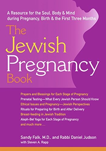The Jewish Pregnancy Book: A Resource for the Soul, Body & Mind during Pregnancy, Birth & the First Three Months