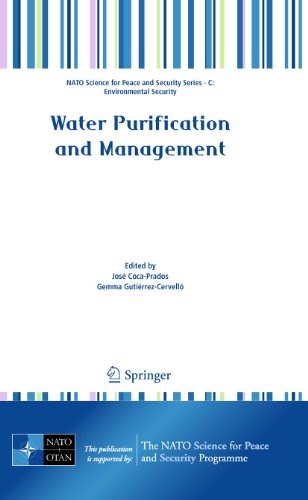 Water Purification and Management (NATO Science for Peace and Security Series C: Environmental Security)