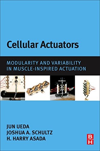 Cellular Actuators: Modularity and Variability in Muscle-inspired Actuation