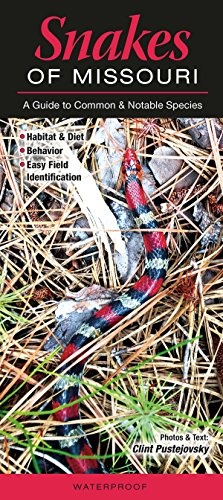 Snakes of Missouri: A guide to Common and Notable Species (Guide to Common & Notable Species)
