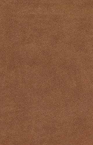 ESV Holy Bible, Value Edition (Brown)