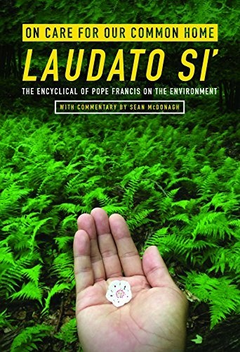 On Care for Our Common Home, Laudato Si': The Encyclical of Pope Francis on the Environment with Commentary by Sean McDonagh