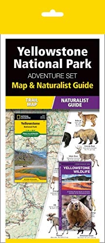 Yellowstone National Park Adventure Set: Trail Map & Wildlife Guide