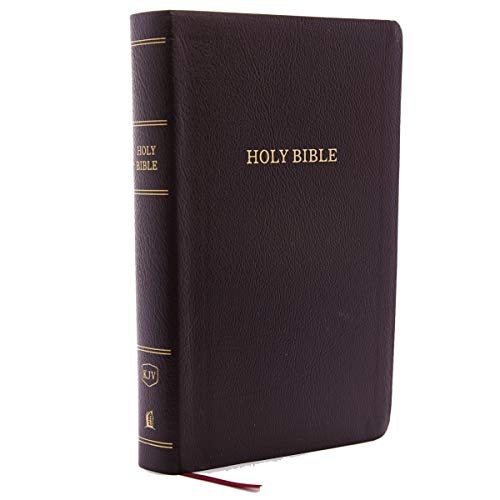 KJV, Reference Bible, Personal Size Giant Print, Bonded Leather, Burgundy, Thumb Indexed, Red Letter, Comfort Print: Holy Bible, King James Version