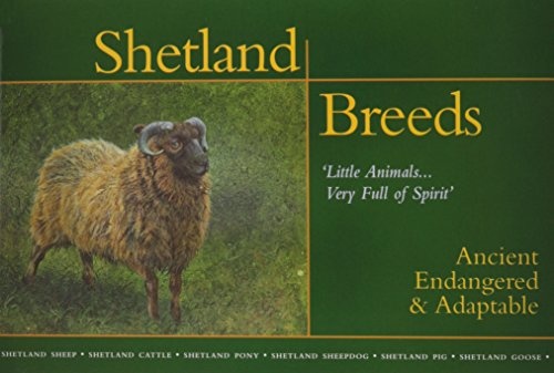 Shetland Breeds, 'Little Animals....Very Full of Spirit': Ancient, Endangered & Adaptable