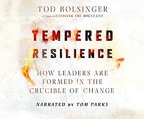 Tempered Resilience: How Leaders Are Formed in the Crucible of Change