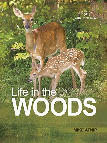 Life in the Woods