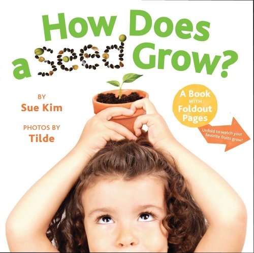 How Does a Seed Grow?: A Book with Foldout Pages