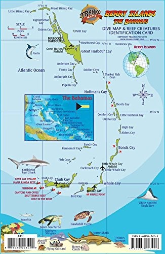 Berry Islands Bahamas Map & Reef Creatures Guide Franko Maps Laminated Fish Card