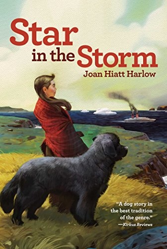 Star in the Storm (Aladdin Historical Fiction)