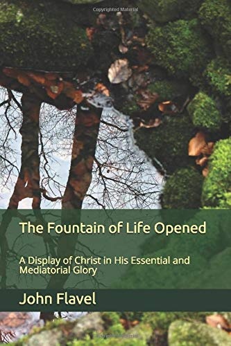 The Fountain of Life Opened: A Display of Christ in His Essential and Mediatorial Glory