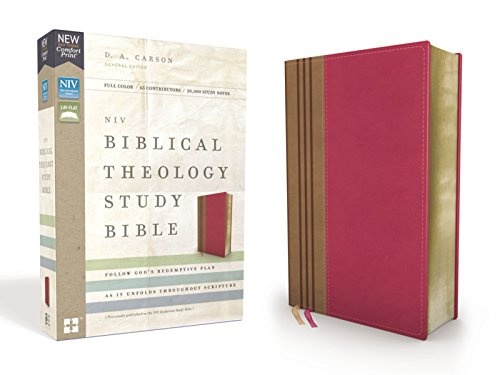 Biblical Theology Study Bible