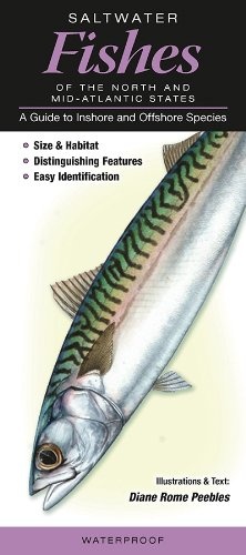 Saltwater Fishes of the Northern and Mid-atlantic States