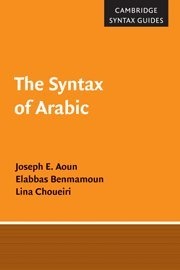 The Syntax of Arabic (Cambridge Syntax Guides)