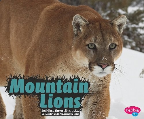 Mountain Lions (Wildcats)