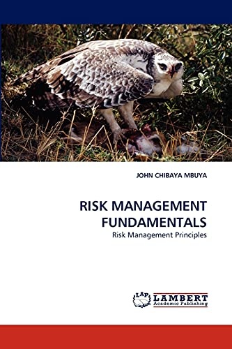 RISK MANAGEMENT FUNDAMENTALS: Risk Management Principles