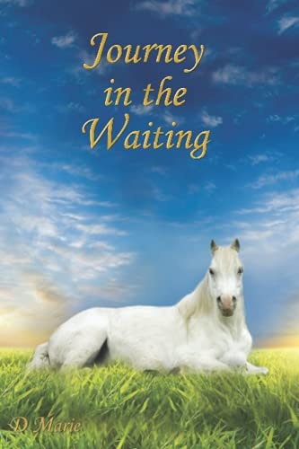 Journey in the Waiting: Faith, Family, and Forgiveness (Journey Books of Faith and Family)