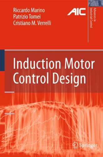 Induction Motor Control Design (Advances in Industrial Control)