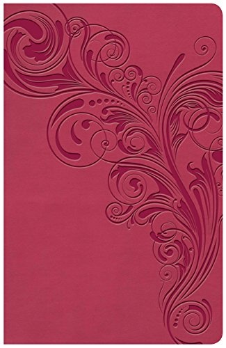KJV Large Print Personal Size Reference Bible, Pink Leathertouch Indexed, Red Letter, Ribbon Marker, Smythe-Sewn, Two-Column Text, Concordance, ... Page, Full-Color Maps, Easy-to-Read Font Size