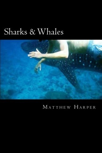 Sharks & Whales: A Fascinating Book Containing Shark & Whale Facts, Trivia, Images & Memory Recall Quiz: Suitable for Adults & Children (Matthew Harper)