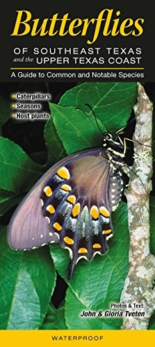 Butterflies of Southeast Texas & the Upper Texas Coast: A Guide to Common & Notable Species (Quick Reference Guides)