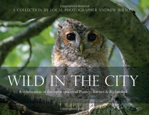 Wild in the City: A Celebration of the Open Spaces of Putney, Barnes and Richmond