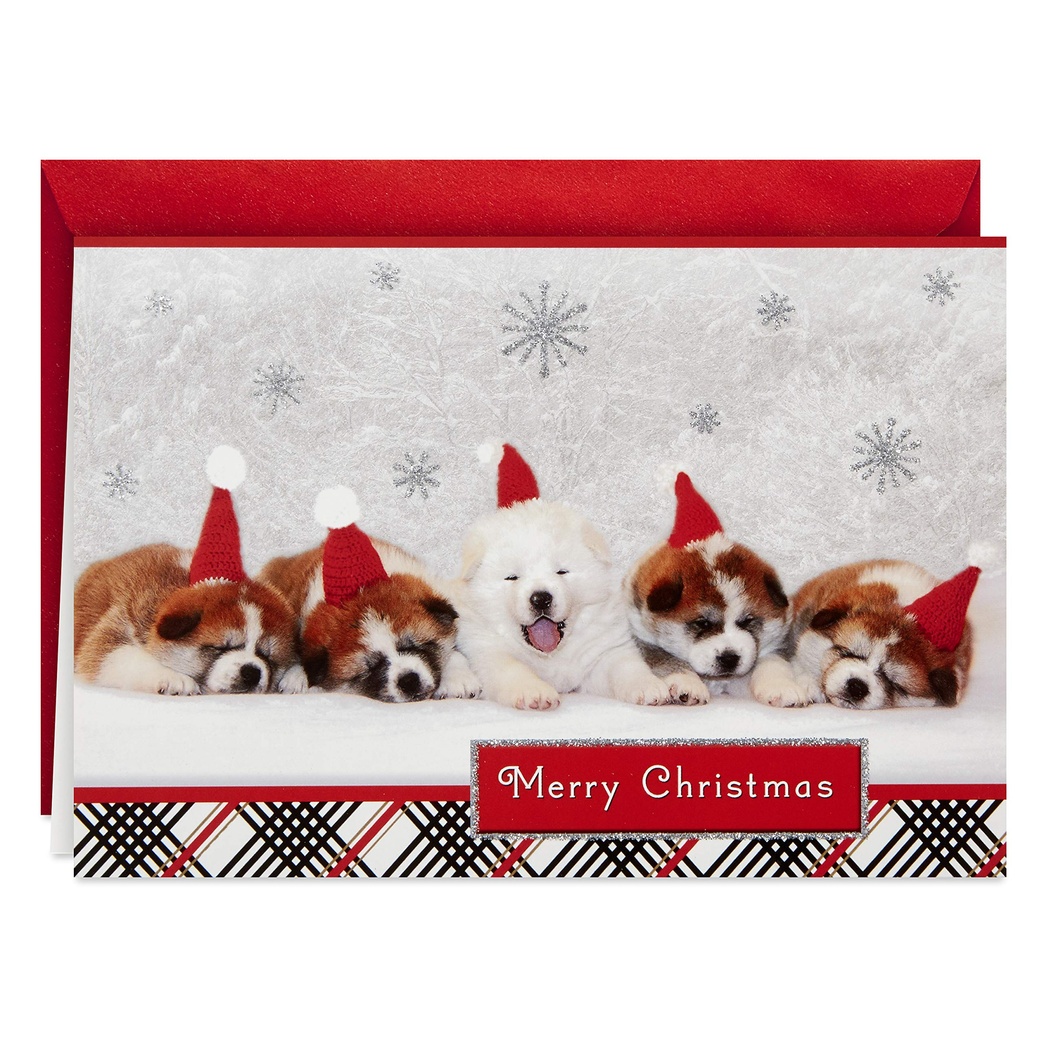 Hallmark Boxed Christmas Cards, Sleepy Puppies (16 Cards and 17 Envelopes)