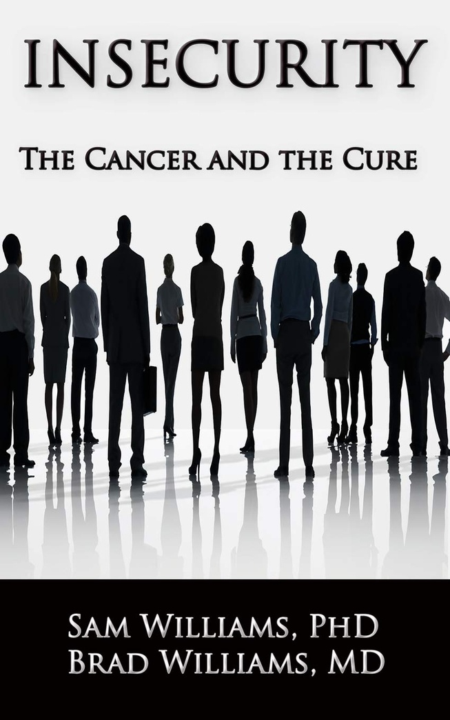 Insecurity: The Cancer and the Cure