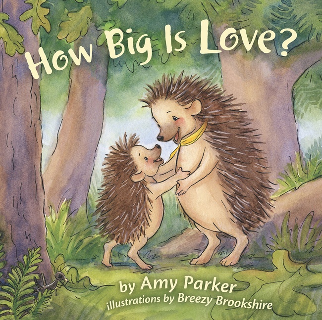 How Big Is Love? (padded board book) (Faith, Hope, Love)