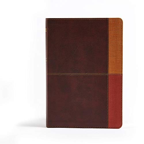 NIV Rainbow Study Bible, Cocoa/Terra Cotta/Ochre Leathertouch