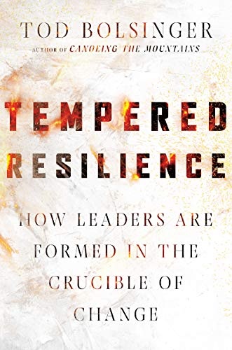 Tempered Resilience: How Leaders Are Formed in the Crucible of Change (Tempered Resilience Set)