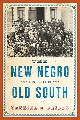 The New Negro in the Old South (The American Literatures Initiative)