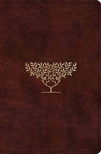ESV Compact Bible (TruTone, Burgundy, Olive Tree Design)