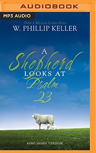 Shepherd Looks at Psalm 23, A
