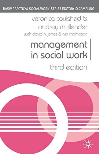 Management in Social Work (Practical Social Work Series)