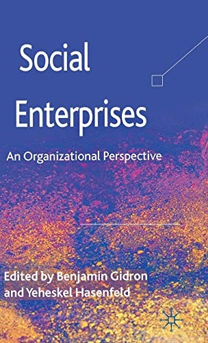 Social Enterprises: An Organizational Perspective