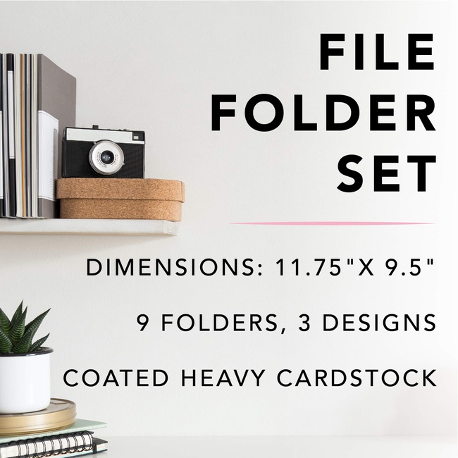 Graphique Gold Dots File Folder Set - File Set Includes 9 Folders with 3 Unique Polka Dot Designs, Embellished w/ Gold Foil on Durable Triple-Scored Coated Cardstock, 11.75" x 9.5"