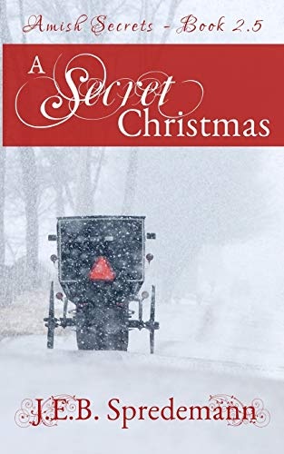 A Secret Christmas: Amish Secrets