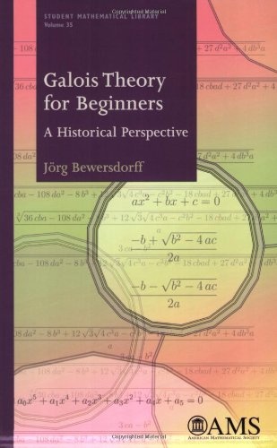 Galois Theory for Beginners: A Historical Perspective (Student Mathematical Library) (Student Matehmatical Library)